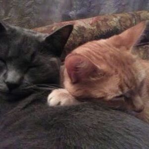 Meet your Posher, Kimberley